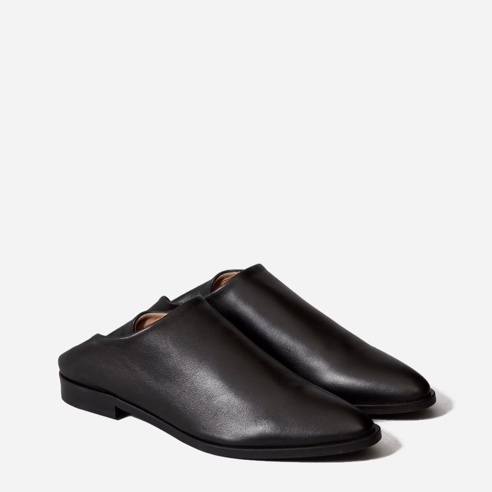 EVERLANE FLATS The Modern Babo